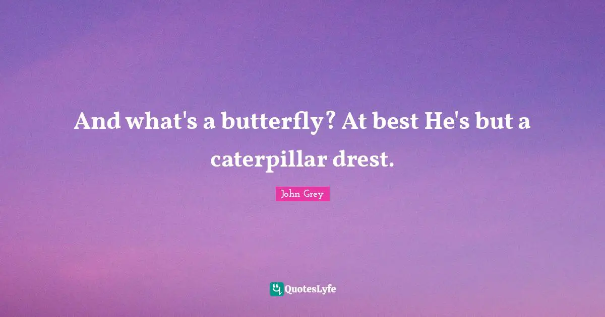 And what's a butterfly? At best He's but a caterpillar drest.