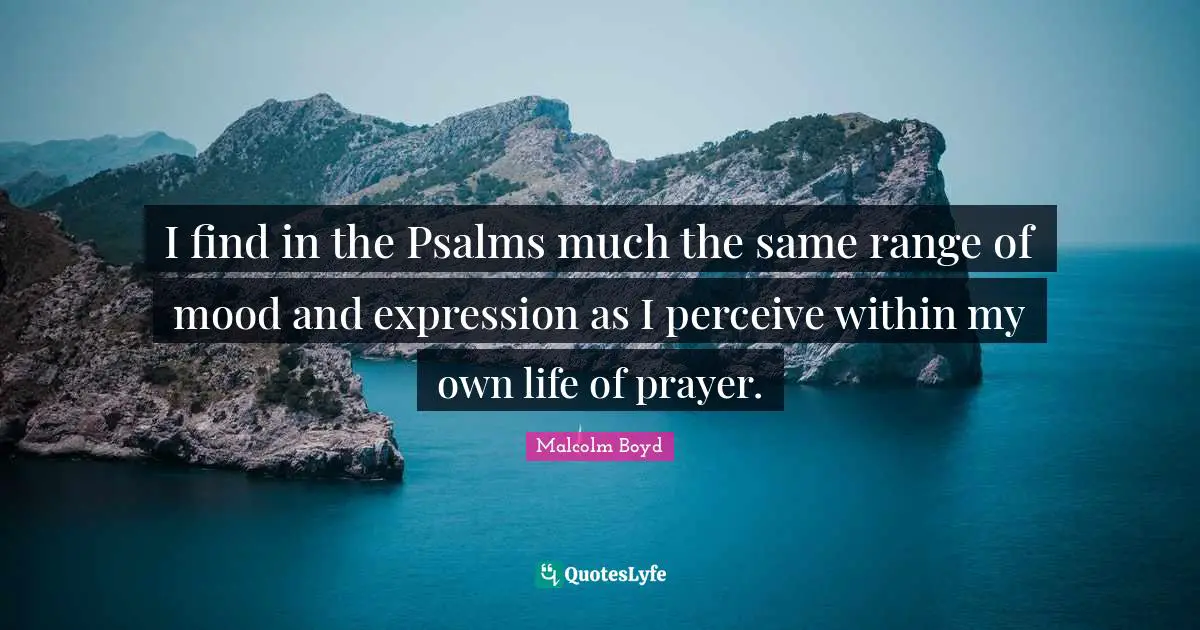 I find in the Psalms much the same range of mood and expression as I perceive within my own life of prayer.