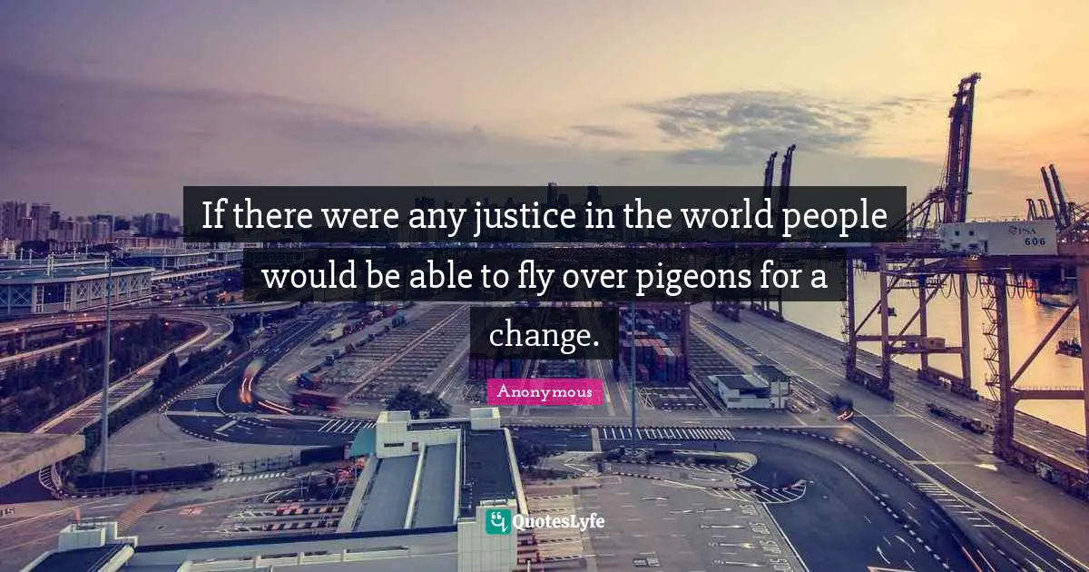 If there were any justice in the world people would be able to fly over pigeons for a change.