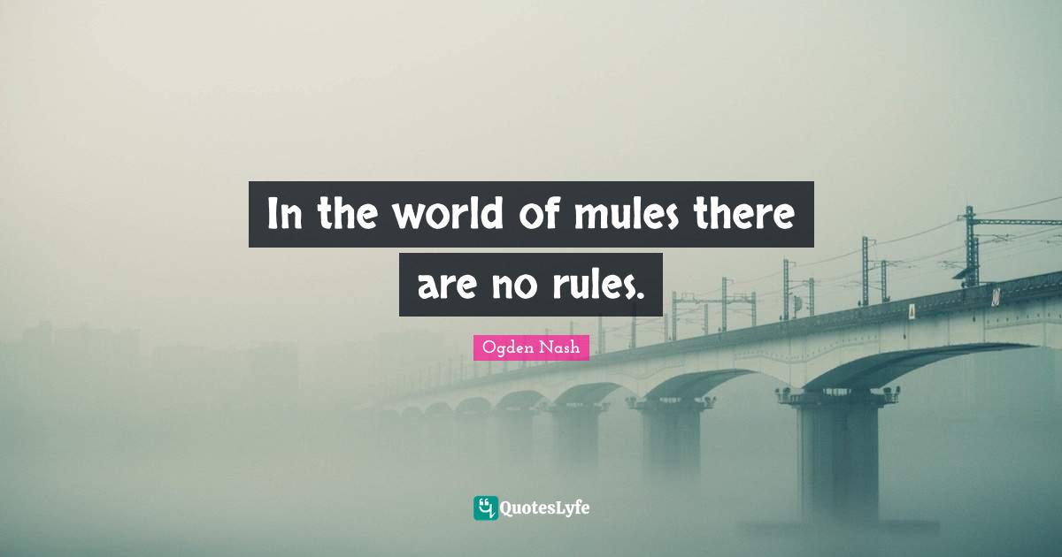 In the world of mules there are no rules.