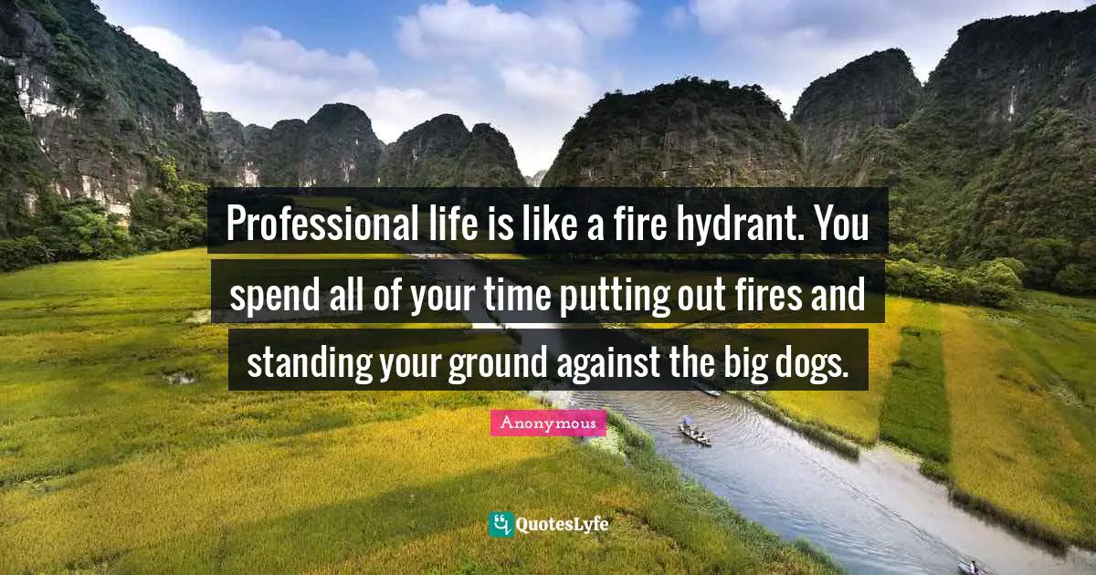 Professional life is like a fire hydrant. You spend all of your time putting out fires and standing your ground against the big dogs.
