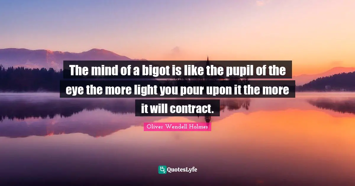 Oliver Wendell Holmes Quotes: The mind of a bigot is like the pupil of the eye the more light you pour upon it the more it will contract.