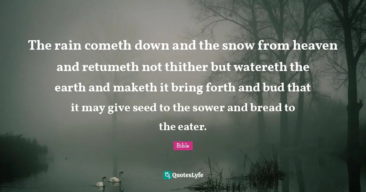 The rain cometh down and the snow from heaven and retumeth not thither but watereth the earth and maketh it bring forth and bud that it may give seed to the sower and bread to the eater.