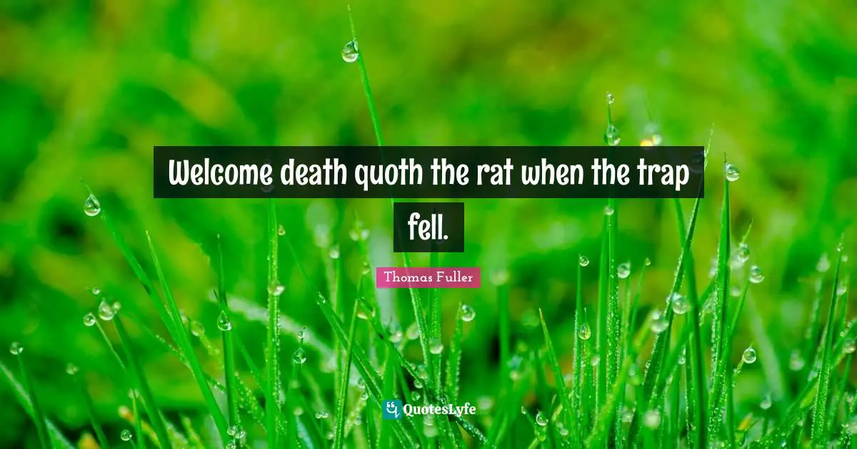 Welcome death quoth the rat when the trap fell.