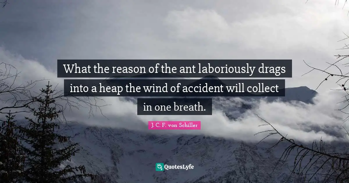J. C. F. von Schiller Quotes: What the reason of the ant laboriously drags into a heap the wind of accident will collect in one breath.