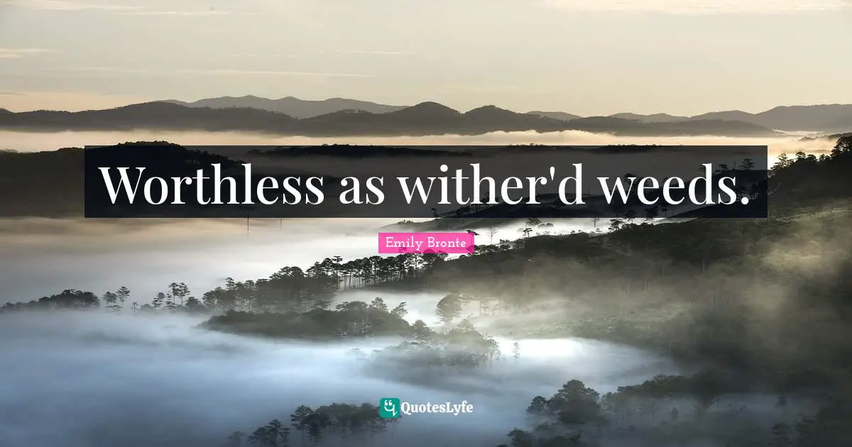 Worthless as wither'd weeds.