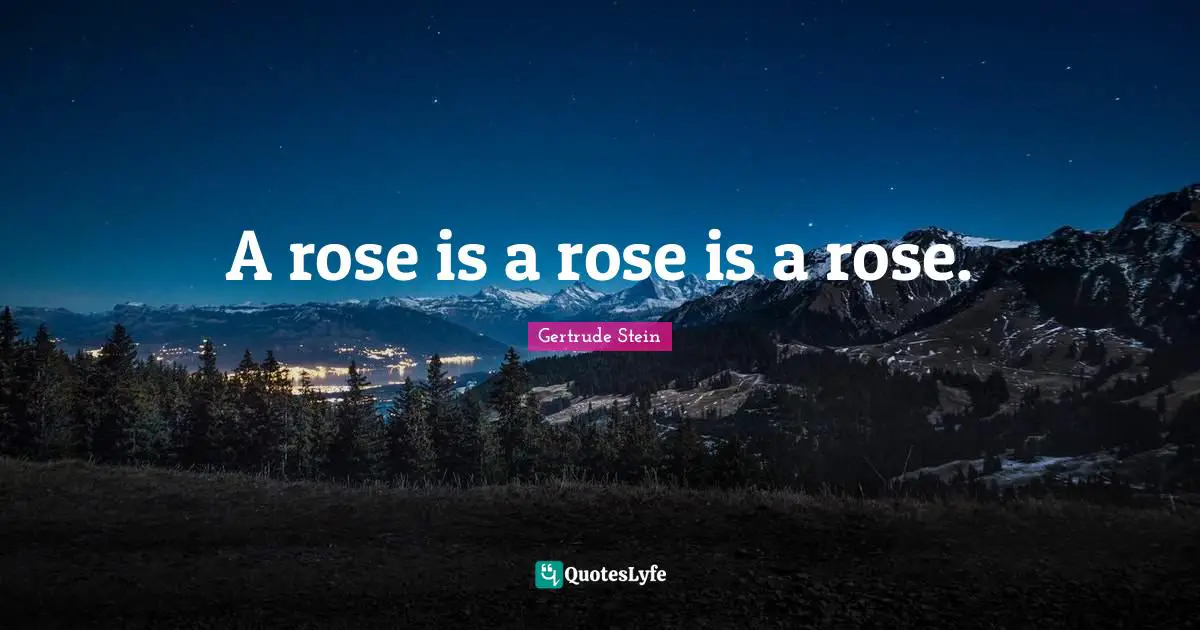 A rose is a rose is a rose.
