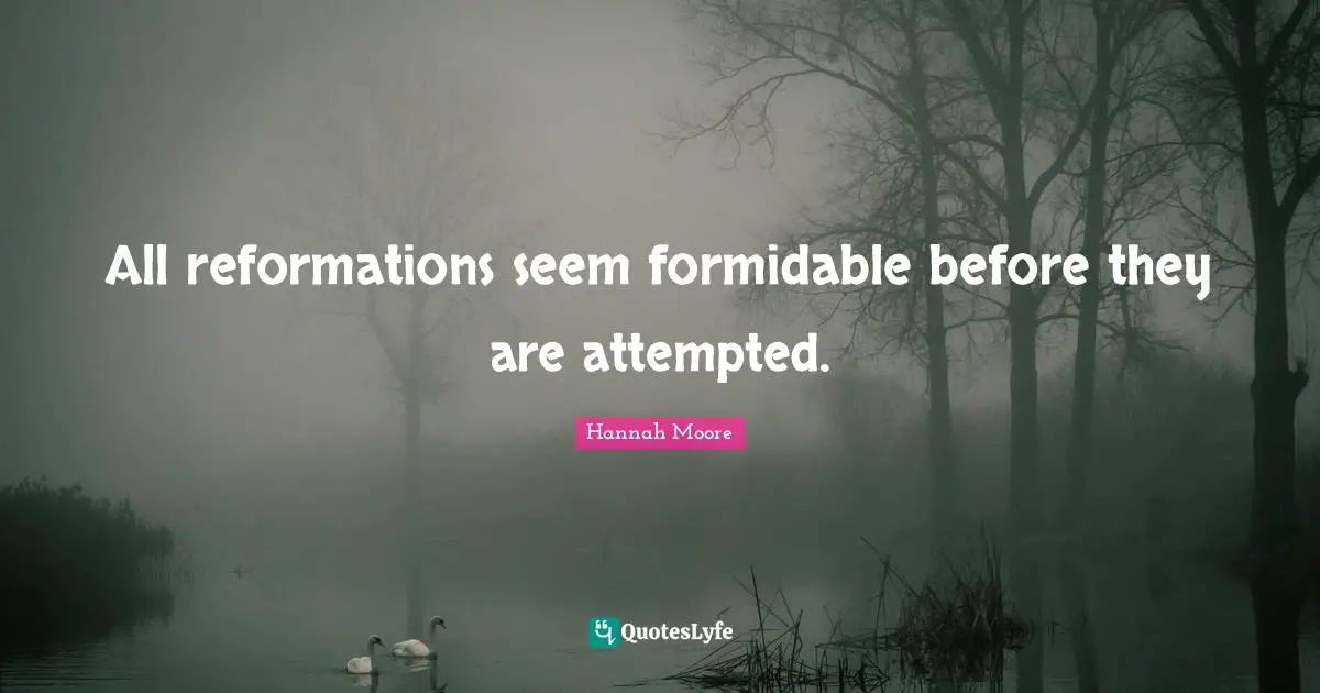 All reformations seem formidable before they are attempted.