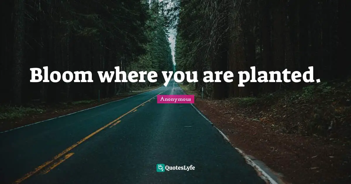 Bloom where you are planted.