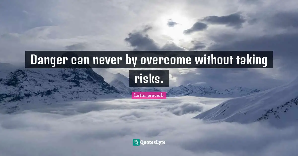 Danger can never by overcome without taking risks.