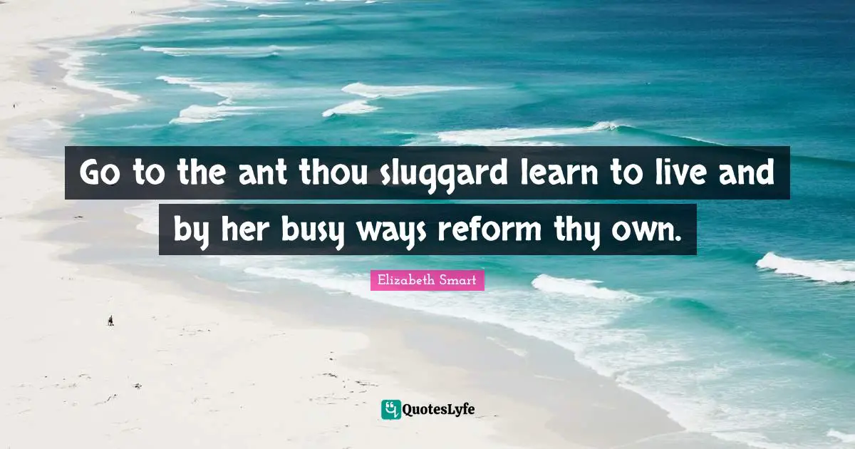 Go to the ant thou sluggard learn to live and by her busy ways reform thy own.