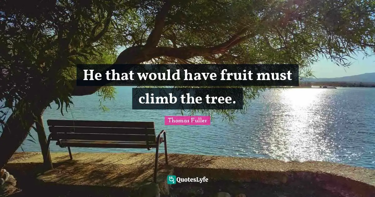 He that would have fruit must climb the tree.
