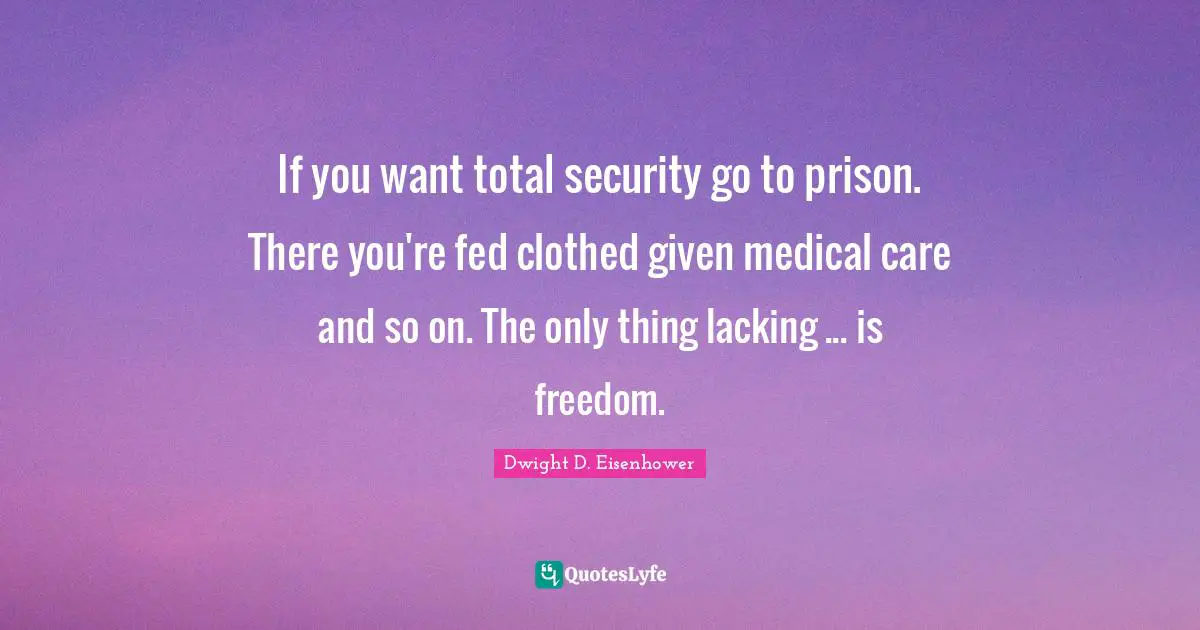 If you want total security go to prison. There you're fed clothed given medical care and so on. The only thing lacking ... is freedom.