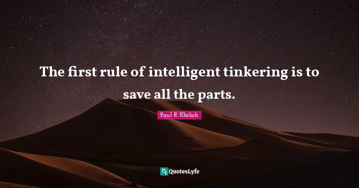 The first rule of intelligent tinkering is to save all the parts.