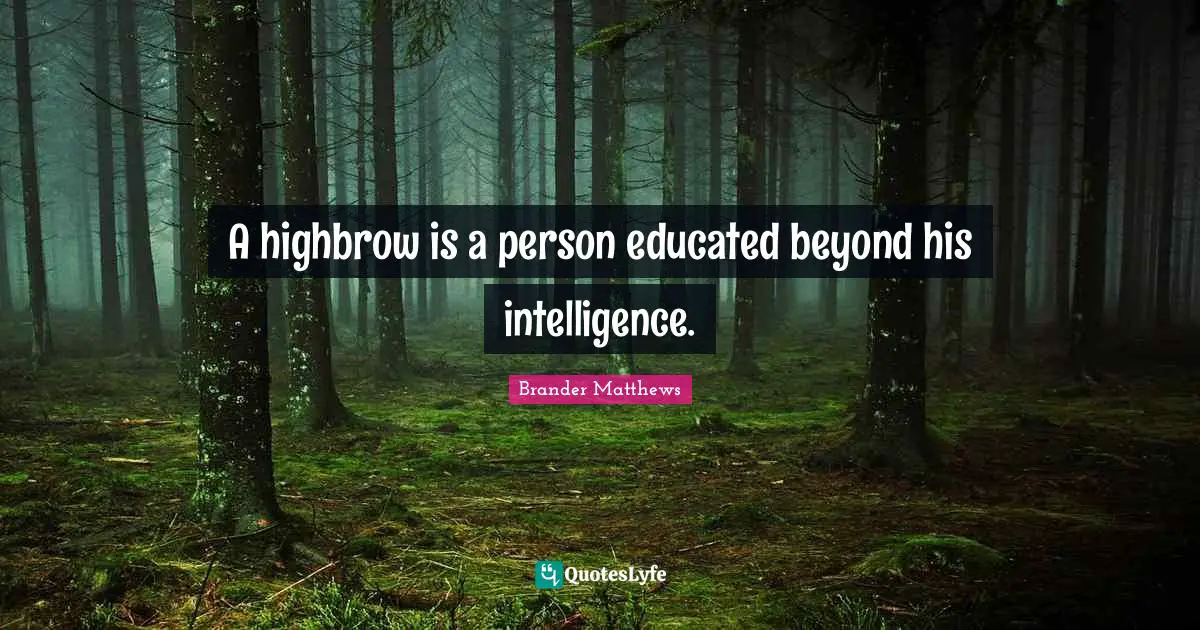 A highbrow is a person educated beyond his intelligence.
