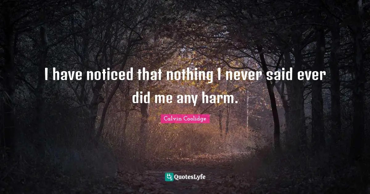I have noticed that nothing I never said ever did me any harm.