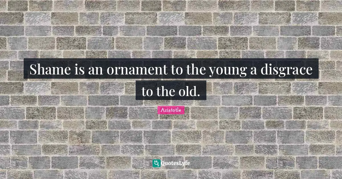 Shame is an ornament to the young a disgrace to the old.