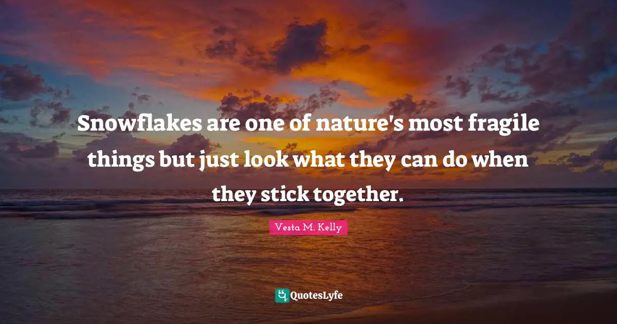 Snowflakes are one of nature's most fragile things but just look what they can do when they stick together.