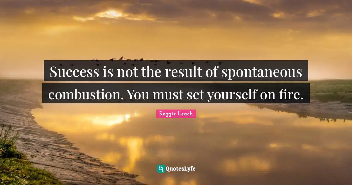 Success is not the result of spontaneous combustion. You must set yourself on fire.