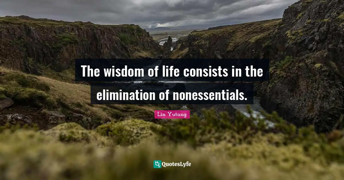The wisdom of life consists in the elimination of nonessentials.