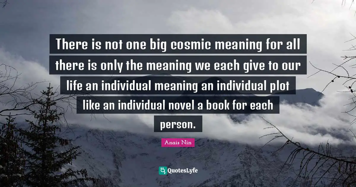 There is not one big cosmic meaning for all there is only the meaning we each give to our life an individual meaning an individual plot like an individual novel a book for each person.