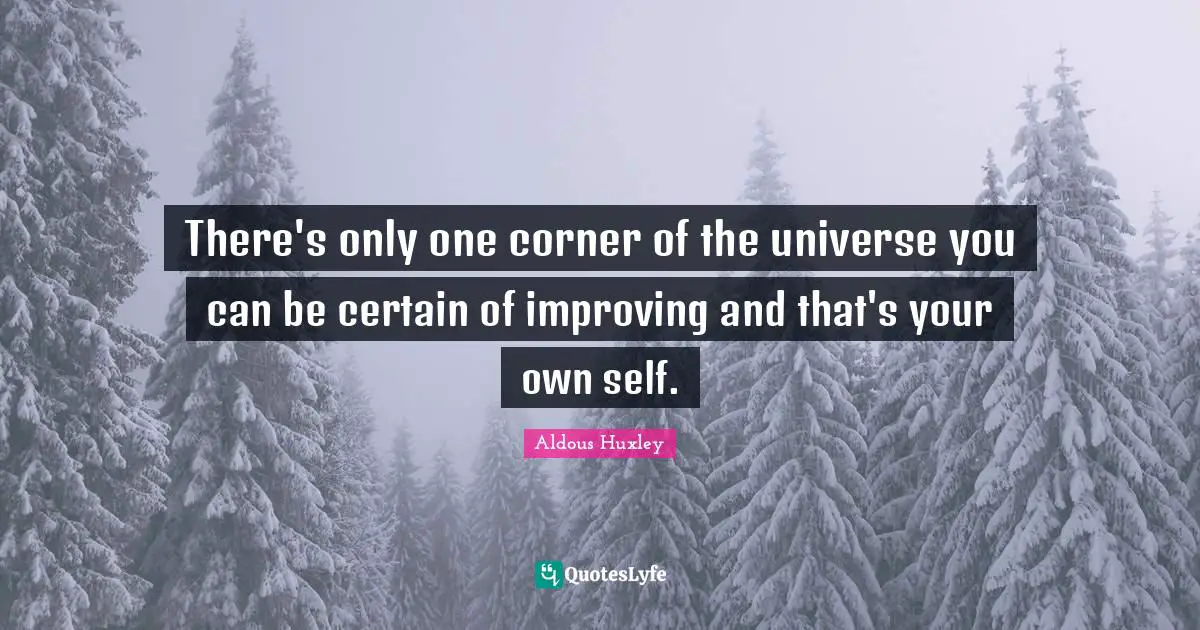 There's only one corner of the universe you can be certain of improving and that's your own self.