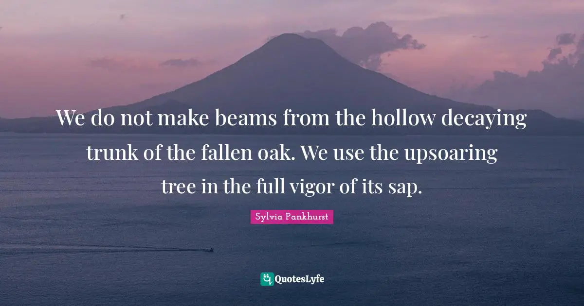 We do not make beams from the hollow decaying trunk of the fallen oak. We use the upsoaring tree in the full vigor of its sap.