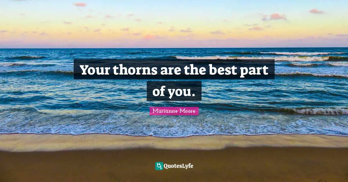 Self Knowledge Quotes: "Your thorns are the best part of you."