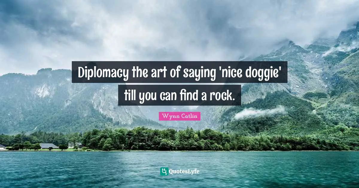 Diplomacy the art of saying 'nice doggie' till you can find a rock.