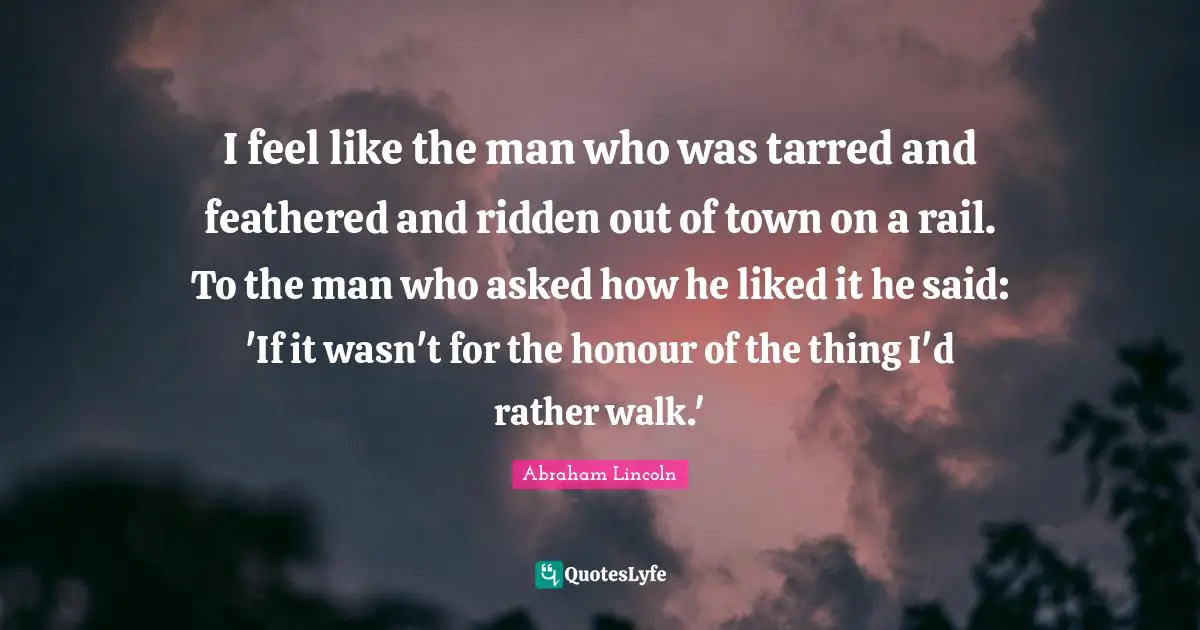I feel like the man who was tarred and feathered and ridden out of town on a rail. To the man who asked how he liked it he said: 'If it wasn't for the honour of the thing I'd rather walk.'