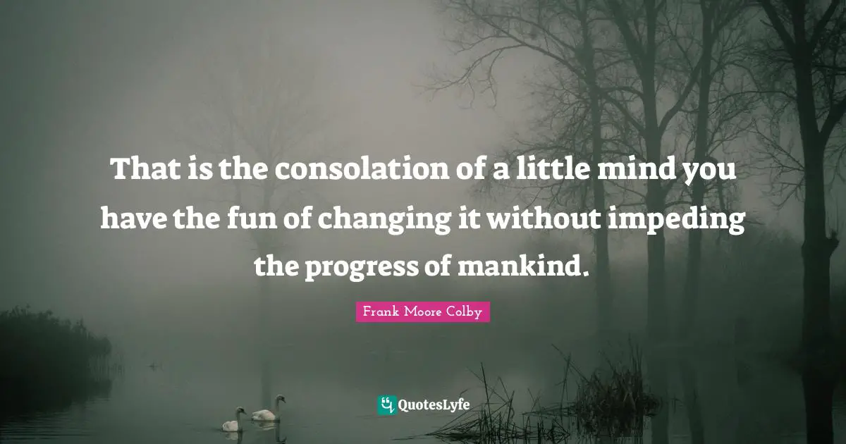 That is the consolation of a little mind you have the fun of changing it without impeding the progress of mankind.