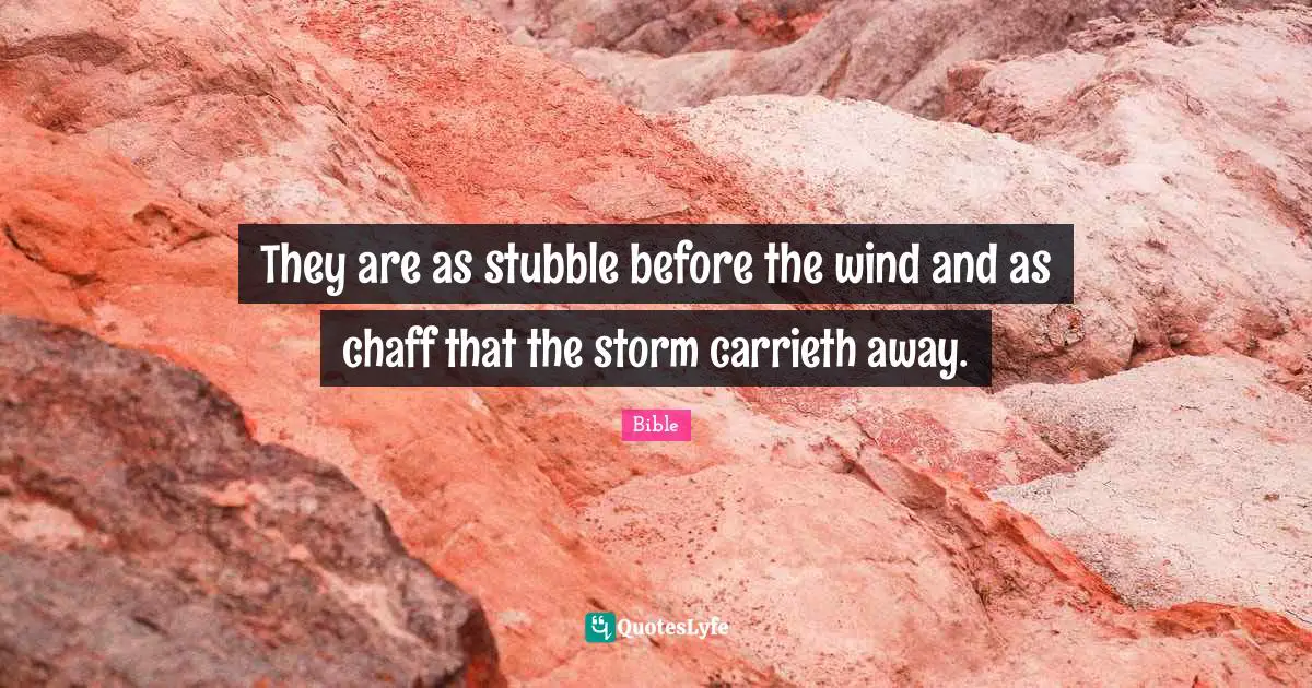 They are as stubble before the wind and as chaff that the storm carrieth away.