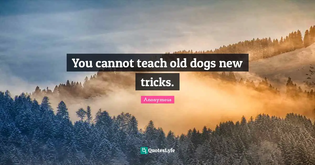You cannot teach old dogs new tricks.