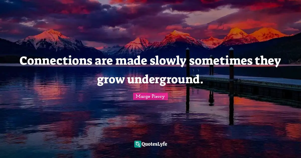 Connections are made slowly sometimes they grow underground.