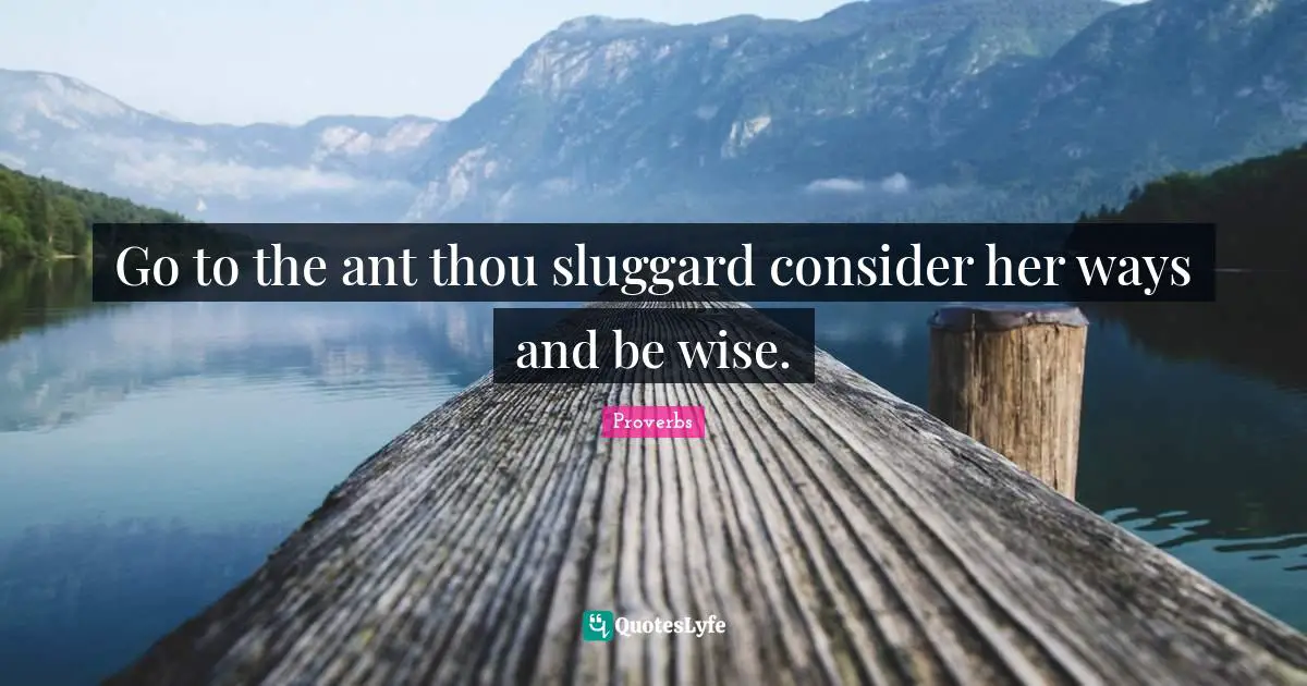 Go to the ant thou sluggard consider her ways and be wise.