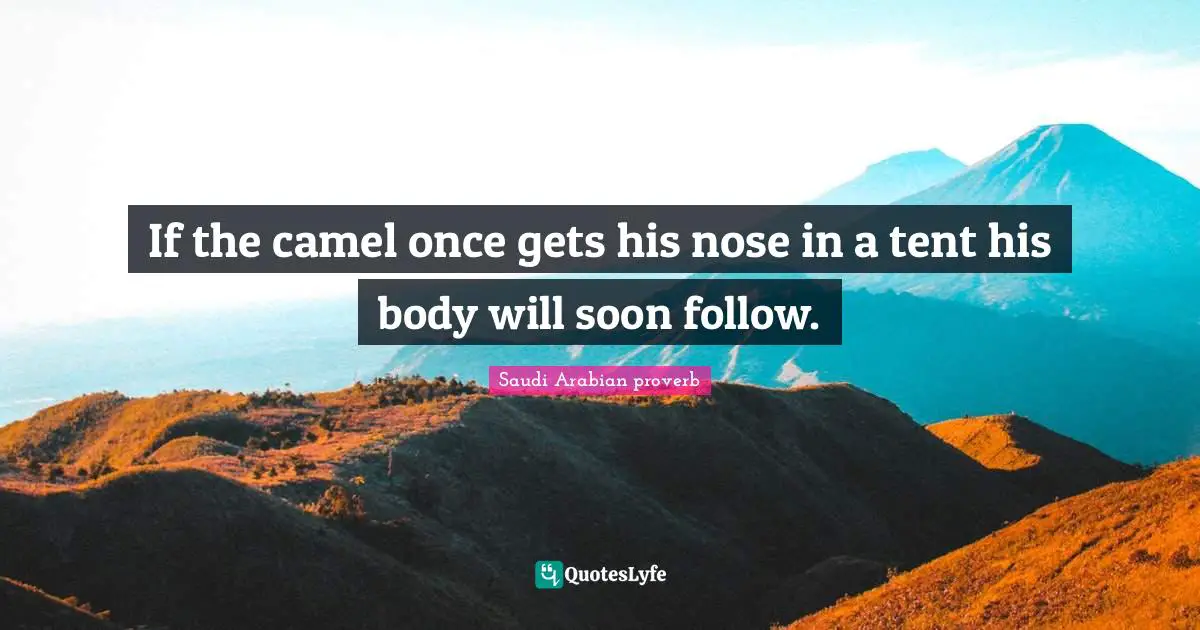 If the camel once gets his nose in a tent his body will soon follow.
