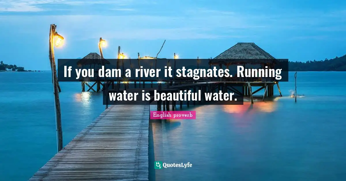 If you dam a river it stagnates. Running water is beautiful water.