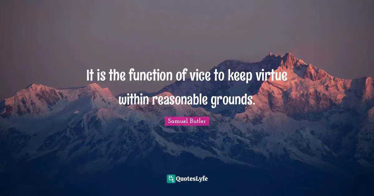 It is the function of vice to keep virtue within reasonable grounds.