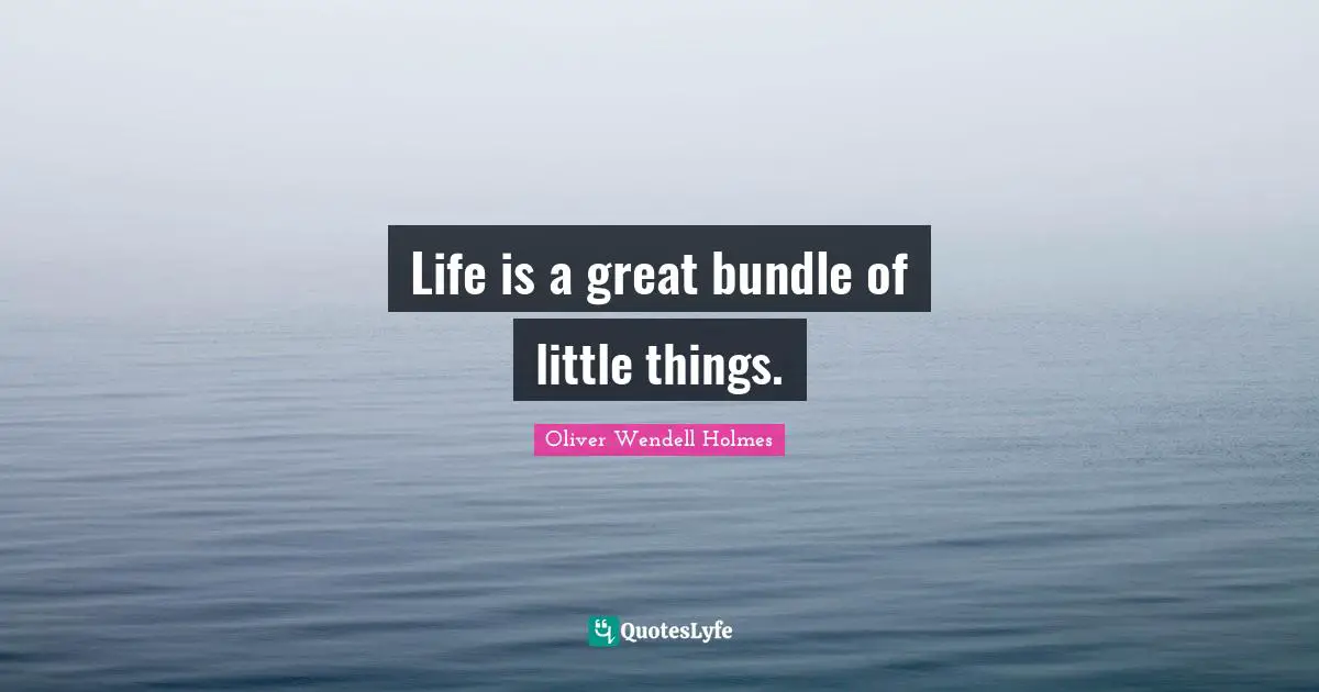 Oliver Wendell Holmes Quotes: Life is a great bundle of little things.