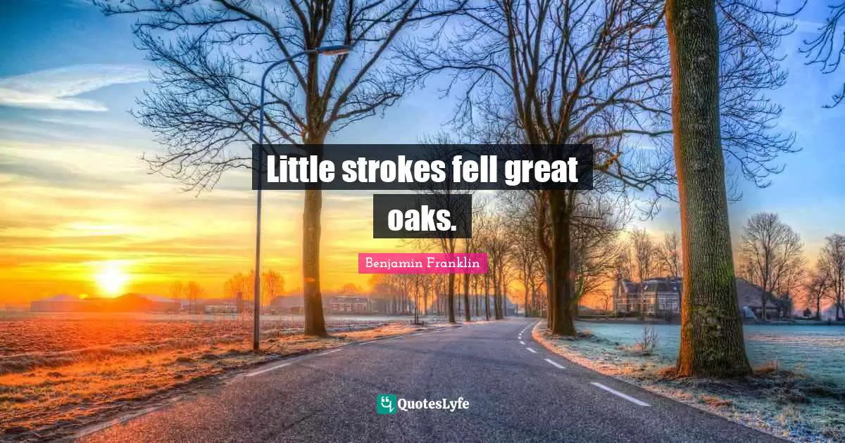 Benjamin Franklin Quotes: Little strokes fell great oaks.