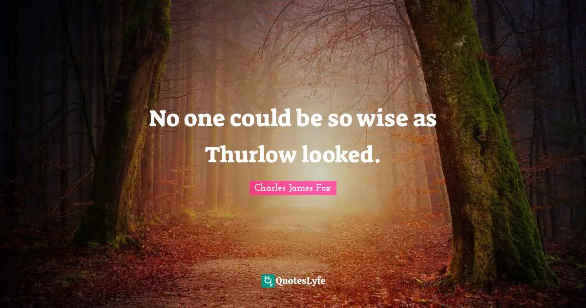 Charles James Quotes: "No one could be so wise as Thurlow looked."