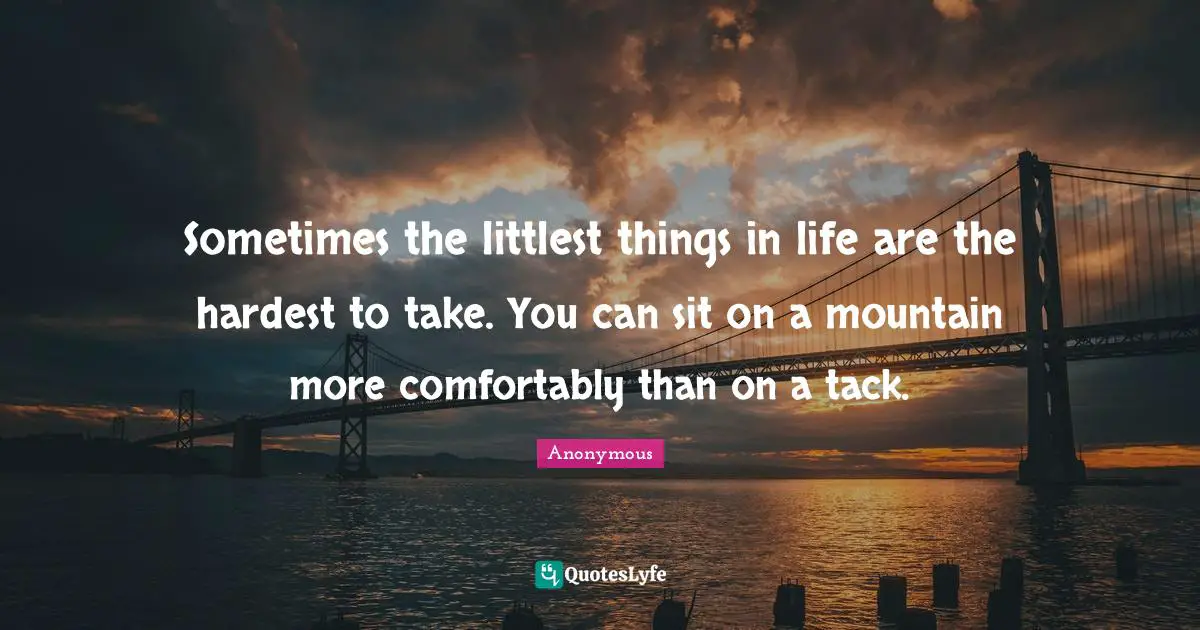 Sometimes the littlest things in life are the hardest to take. You can sit on a mountain more comfortably than on a tack.
