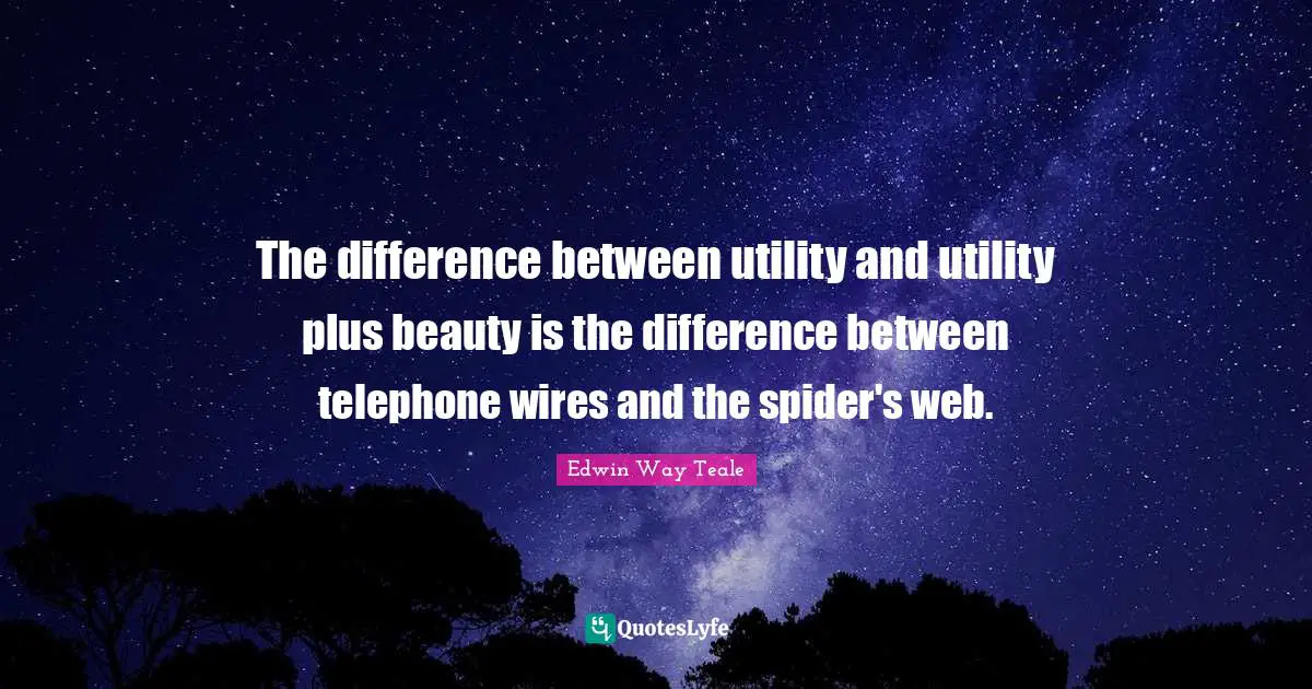 The difference between utility and utility plus beauty is the difference between telephone wires and the spider's web.