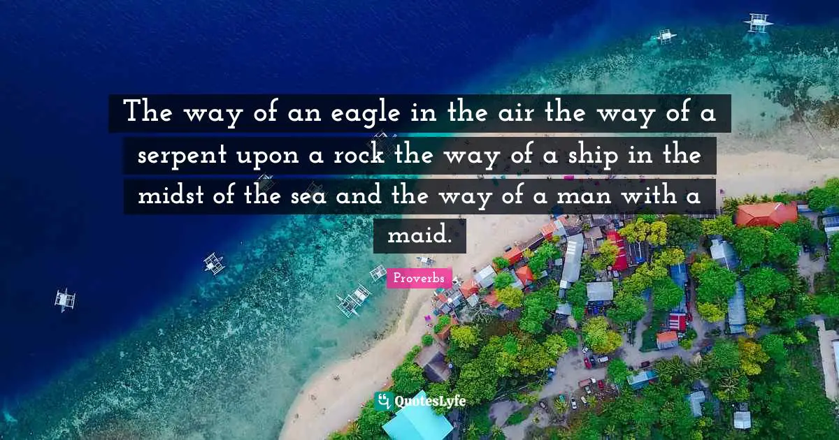 Wooing Quotes: "The way of an eagle in the air the way of a serpent upon a rock the way of a ship in the midst of the sea and the way of a man with a maid."