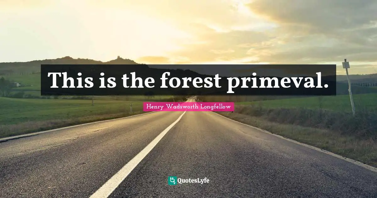 This is the forest primeval.