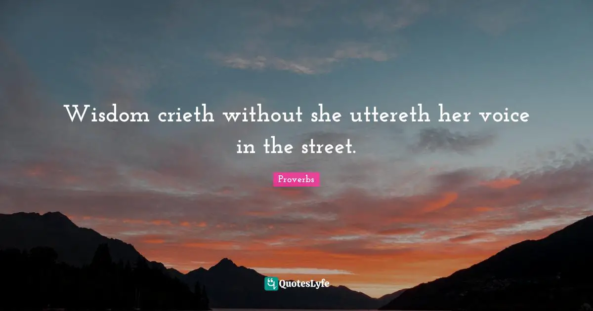 Wisdom crieth without she uttereth her voice in the street.