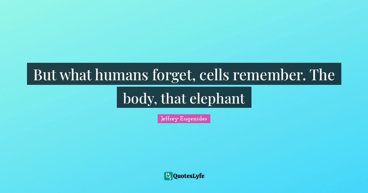 But what humans forget, cells remember. The body, that elephant