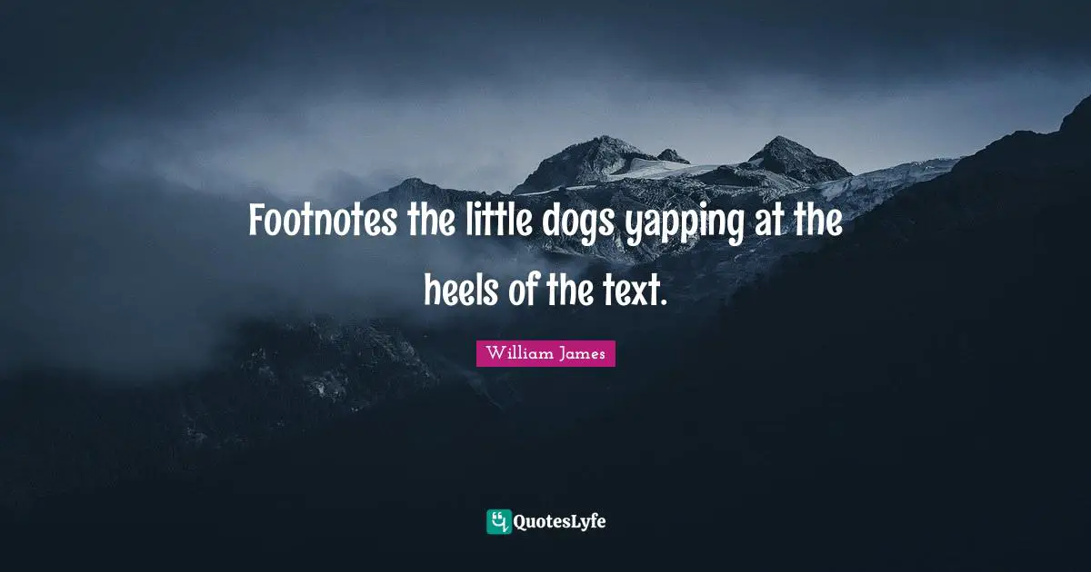 Footnotes the little dogs yapping at the heels of the text.