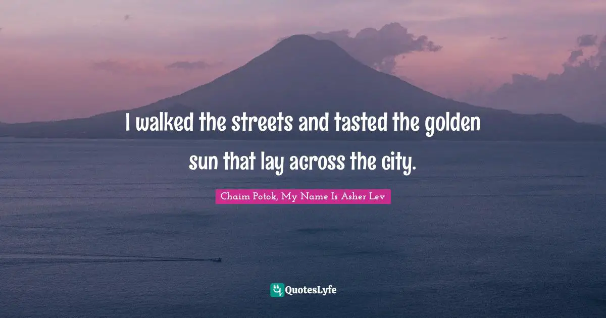 I walked the streets and tasted the golden sun that lay across the city.