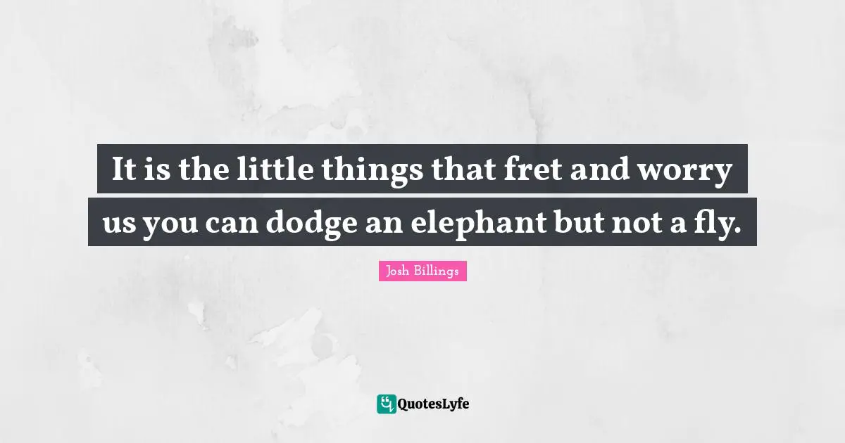 It is the little things that fret and worry us you can dodge an elephant but not a fly.